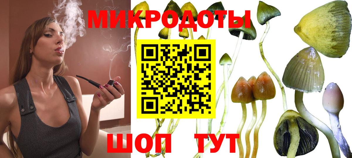 Галлюциногенные грибы Psilocybe  Псилоцибиновые грибы Cubensis  Вход с VPN  Касимов 